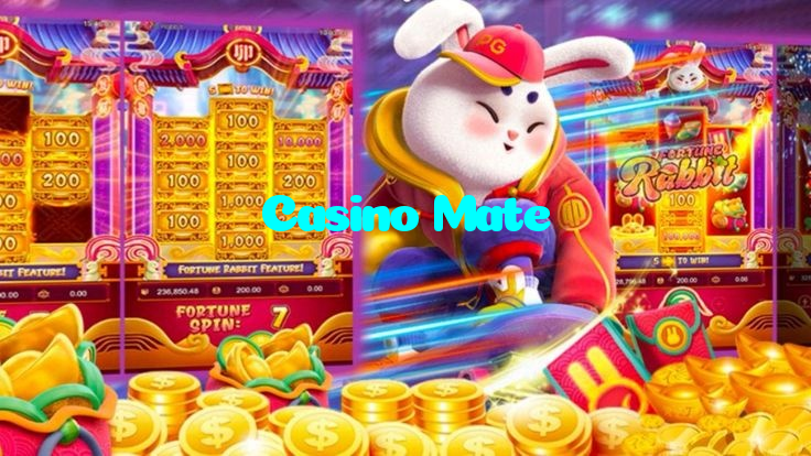 available types of Casino Mate bet including pre-match live express and system bets
